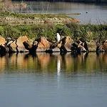 Coup De Coeur Assure Pour Cette Charmante Maison A 400 M De La