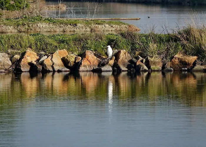 Coup De Coeur Assure Pour Cette Charmante Maison A 400 M De La