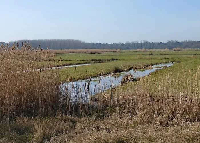 度假居 Coup De Coeur Assure Pour Cette Charmante Maison A 400 M De La 圣吉尔-克鲁瓦德维